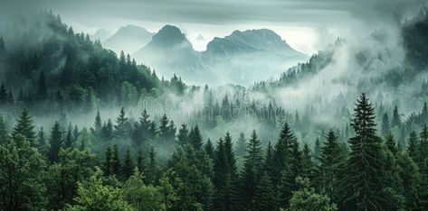 Misty Morning Fog in the Forest Mountains Peak Pine Tree Winter Landscape. Tranquil Dense Green Forest Aerial View stock photography Misty Pine Forest, Foggy Pine Tree Forest, Misty Forest Print, Trees In Fog, Tree Winter, Snowy Mountain Forest, Morning Fog, Forest Mountain, Misty Morning