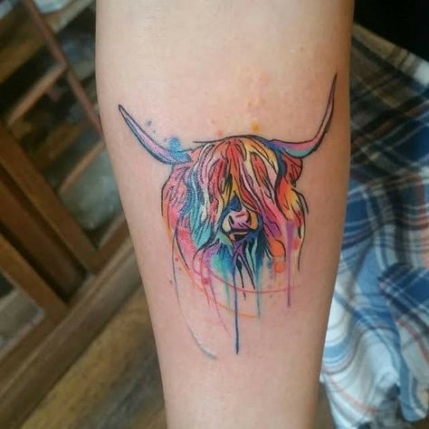 Cattle Tattoo Ideas, Cattle Tattoo, Cow Tattoo Ideas, Cow Tattoos, Highland Cow Tattoo, Splatter Tattoo, Ox Tattoo, Scotland Tattoo, Scottish Tattoos