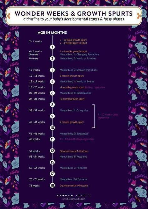 Baby Growth Spurts Chart, Baby Growth Spurts, Baby Development Chart, Wonder Weeks, Baby Development Activities, Baby Routine, Baby Information, Baby Schedule, Newborn Mom