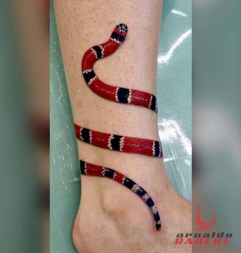 12 Milk Snake Tattoo Ideas That Are Perfect | PetPress Coral Tattoo, Snake Tattoo Meaning, Tattoo Name Fonts, Tatoo 3d, Tiny Bird Tattoos, Milk Snake, Cobra Tattoo, Skull Beard