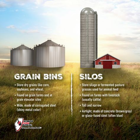 Grain Bin Pictures, Grain Bins, Silo House, Acre Homestead, Grain Silo, Physics Notes, Metal Cylinder, Dairy Cattle, Old School House