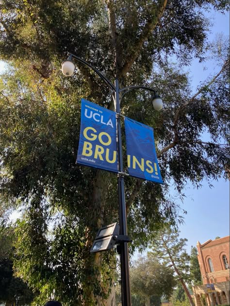 Ucdavis Aesthetic, Manifesting University, Ucla Aesthetics, Ucla University, Ucla Campus, University Inspiration, Dream University, College Apps, College Motivation