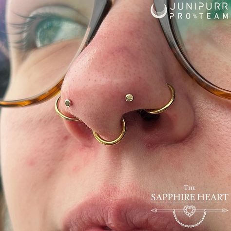 𝐵𝒱𝐿𝒜, 𝒥𝓊𝓃𝒾𝓅𝓊𝓇𝓇, 𝒜𝓃𝒶𝓉𝑜𝓂𝑒𝓉���𝒶𝓁 (@thesapphireheart) • Instagram photos and videos Mantis Nose Piercing, Mantis Piercing, Septum Stack, Piercing Setup, Piercing Inspiration, Dream Setup, Piercing Inspo, Face Piercings, Cool Piercings