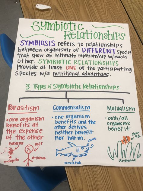 Symbiotic Relationships anchor chart (biology) Biology Chart Ideas, Biology Ecology Notes, Biology Anchor Charts, Biology Notes Ecology, Biology Anchor Charts High Schools, Symbiotic Relationships Activities, Biology Notes Class 10 How Do Organisms Reproduce, High School Science Classroom, Science Chart