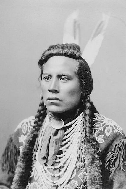 Curly...Crow Scout Native American Woman, Native American Images, Native American Men, American Photo, Native American Pictures, Native American Photos, Indigenous Americans, Native American Peoples, Native American Heritage