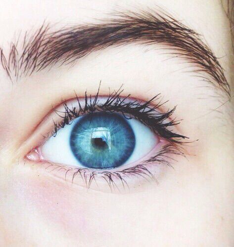 • pinterest & instagram - @ninabubblygum • Blue Eyes Aesthetic, Eyes Reference, Eye References, Eye Reference, Eye Colours, Eyes Photography, Eyes Aesthetic, Beautiful Eyes Color, Ocean Blue Eyes