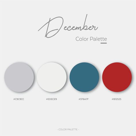 December Color Palette December Colors Palette, December Color Palette, Bullet Journal Layout Templates, Planner Themes, Hex Color Palette, Modern Color Palette, Hex Codes, Brand Color Palette, Color Palate