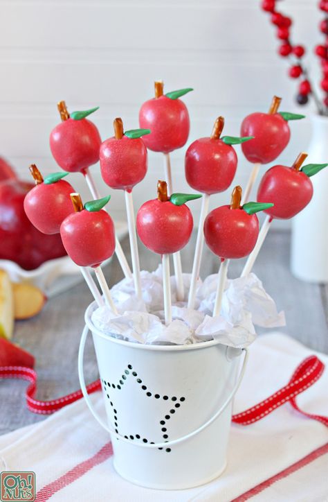 How to make Apple Cake Pops - aren't these cute? And what a great idea for kids to give their teachers! These are made with Caramel Apple Cake and Frosting...Yum! Lollicakes Cakepops, Apple Cake Pops, Vegetarian Cake, School Treats, Apple Cake Recipes, Chocolate Wafers, Cake Balls, Rosh Hashanah, Apple Cake