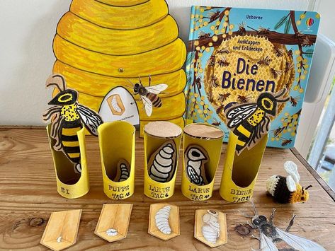 Linda Mydlak on Instagram: “Bee lifecycle 🐝 We made this toilet paper roll bee lifecycle last year and it still looks lovely! The kids had lots of fun arranging…” Bee Art Project, Bee Lifecycle, Bee Activities, Science Projects For Kids, Bee Crafts, Garden Art Sculptures Diy, Garden Artwork, Garden Art Projects, Bee Art