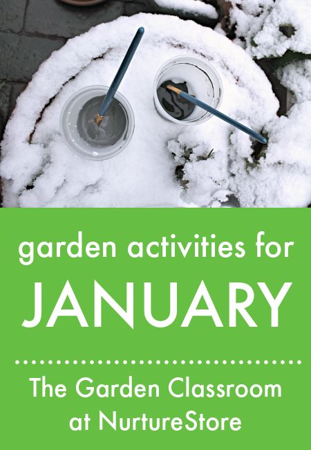 Garden activities for January :: The Garden Classroom - NurtureStore School Garden Club Lesson Plans, Winter Garden Activities, Garden Club Activities, Kids Gardening Activities, What To Plant In January, Winter Lesson Plans, Activities For January, January Gardening, Gardening Kids Activities