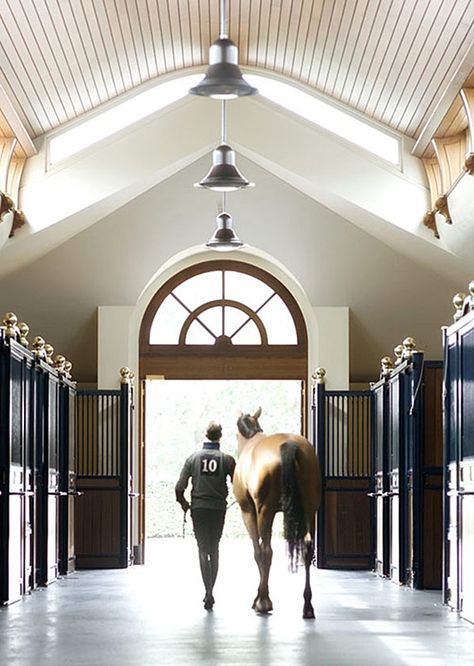 Horse Stall, Horse Stalls, Inspired Interiors, Interiors Inspiration, Horse Stables, Morning Inspiration, Horse Barns, Beautiful Horse, Country Side