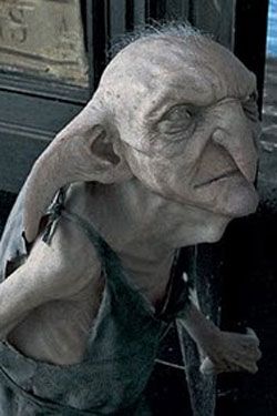 Kreacher Harry Potter, Harry Potter Travel, Walburga Black, Harry Potter 5, Harry Potter Wiki, Harry Potter Character, House Elf, Harry Potter Oc, Gellert Grindelwald