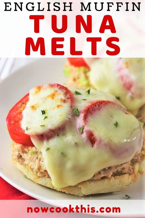 English Muffins Sandwich, Campari Tomatoes, English Muffin Recipes, Cold Sandwiches, Canned Tuna, Easy Fish Recipes, Tuna Melts, English Muffins, Tuna Recipes