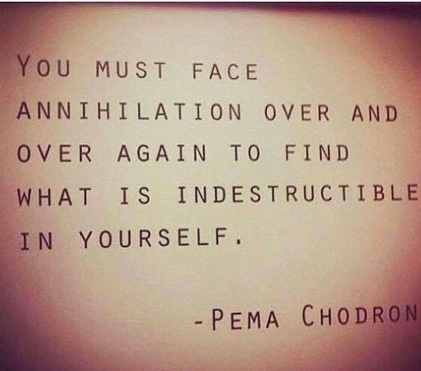 Pema Chodron Quotes, Healer Quotes, Eckhart Tolle Quotes, Pema Chodron, Love Is Comic, Hello Lovely, Hope Quotes, Gratitude Quotes, Romantic Love Quotes