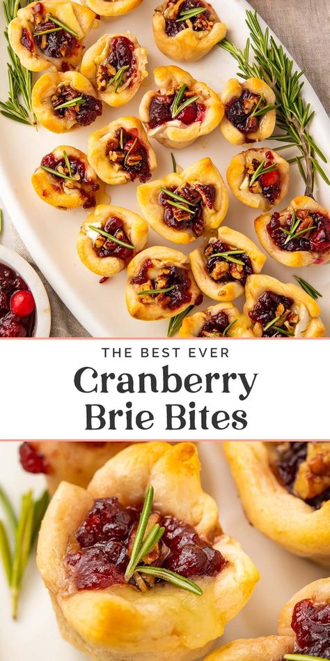 These cranberry brie bites are the best ever! Melty brie topped with sweet-tart cranberry sauce baked in buttery crescent dough or puff pastry, all topped with a drizzle of honey and optional toasted pecans. This appetizer is a favorite at every holiday get-together, and they're always gone in minutes! Brie Cranberry Appetizer, Brie Bites Puff Pastry, Cranberry Pecan Brie, Pecan Brie, Cranberry Appetizer, Cranberry Brie Bites, Cranberry Bites, Brie Cranberry, 40 Aprons