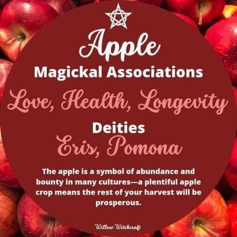 Apple Magickal Properties, Fruit Correspondences, Fruit Magic Witchcraft, Fruit In Witchcraft, Fruit Meaning Witchcraft, Magick Correspondences, Witchy Ingredients, Fruit Magic, Apple Meaning