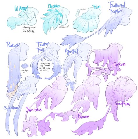 Feathered Character Design, Creature Art Reference, Feather Tail Drawing, Tailed Character Design, Art Reference Poses Animals, Bird Tail Reference, Female Bird Character Design, Wing Types Drawing, Horn Types Reference