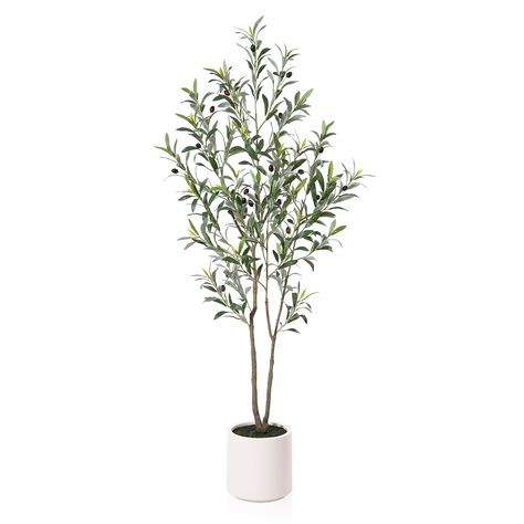 Arrives by Mon, Feb 26 Buy 5FT Tall Artificial Muti-trunk Olive Tree with 8.6 inches Large White Planter. 8 lb. DR.Planzen at Walmart.com Olive Artificial Tree, Olive Tree Indoor, Moringa Oleifera Tree, Artificial Indoor Trees, Artificial Olive Tree, Olive Plant, Dracaena Plant, Mediterranean Living, Faux Olive Tree