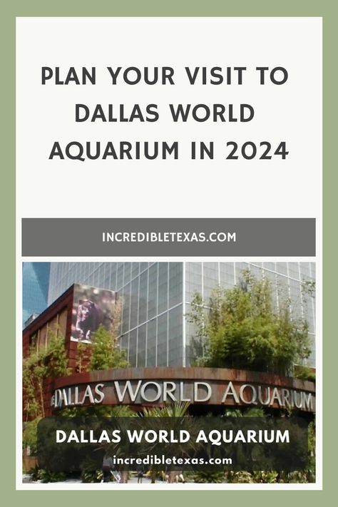 Plan your visit to Dallas World Aquarium in 2024 Dallas Aquarium, Dallas World Aquarium, Dallas Travel, Texas Travel Guide, Magical Underwater, Rainforest Habitat, Visit Dallas, Texas Beaches, Photography Guidelines