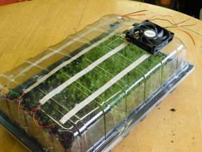 Cheap Greenhouse, Aquaponics Diy, Indoor Greenhouse, Small Greenhouse, Greenhouse Plans, Aquaponics System, Mini Greenhouse, Diy Greenhouse, Arduino Projects