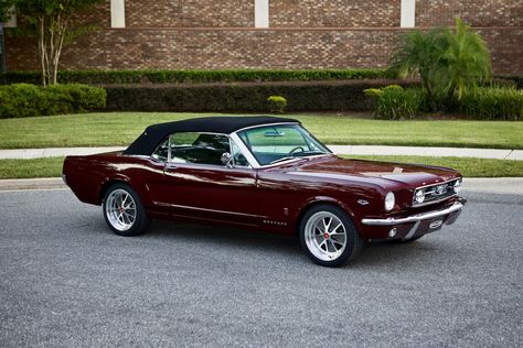 1970s Muscle Cars, Vintage Mustang Convertible, Wine Red Car, Burgundy Car, Mustang Vintage, 1967 Mustang Convertible, 1966 Mustang Gt, Vintage Convertible, Mustang Gt Convertible