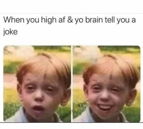 High Memes, High Quotes, Rauch Fotografie, High Jokes, Image Swag, Puff Puff, Good Quotes For Instagram, Daily Funny, Relatable Post Funny