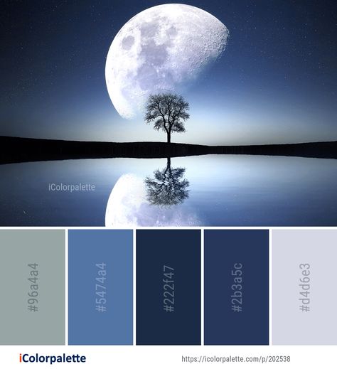 Color Palette ideas from 3796 Water Images | iColorpalette Colour Ideas For Home, Nature Reflection, Color Palette Theme, Quilts Designs, Perfect Color Combinations, Water Images, Sky Images, Wearing Color, Color Palette Ideas