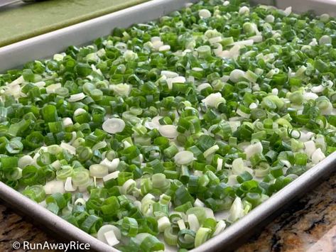 How to Freeze Green Onions / Scallions | RunAwayRice Dried Green Onions, How To Preserve Fresh Green Onions, How To Preserve Scallions, How To Save Green Onions, How To Store Scallions, Recipes That Use Green Onion, Preserve Green Onions, Recipes For Green Onions, How To Freeze Green Onions