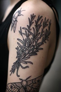 Rosemary Tattoo, Herb Tattoo, Botanisches Tattoo, Botanical Tattoo Design, Tattoo Band, 16 Tattoo, Bouquet Tattoo, Back Of Shoulder Tattoo, Plant Tattoo