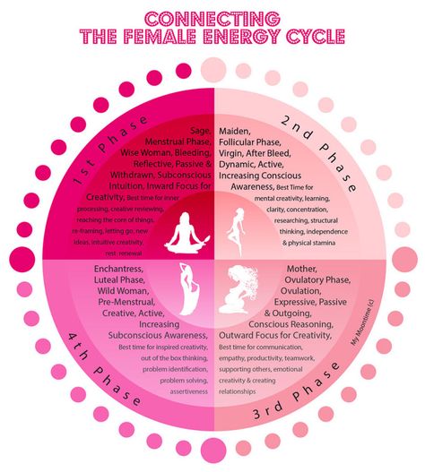 Menstrual Cycle Phases, Cycle Tracking, Moon Chart, Cycle Tracker, Womb Healing, Menstrual Health, Feminine Health, Western Culture, Hormone Health