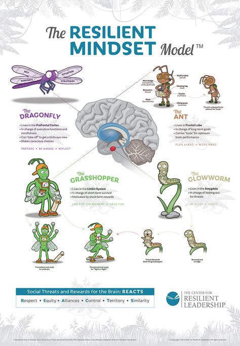 Four Mindful Bugs Who Teach The Resilient Mindset Model™ - Growth Mindset Blog & Newsletter Building Resilience Activities, Emotional Resilience Activities, Teaching Resilience, Psychological Resilience, Business Resilience, Resilience Activities, Blog Newsletter, Emotional Resilience, Balanced Life