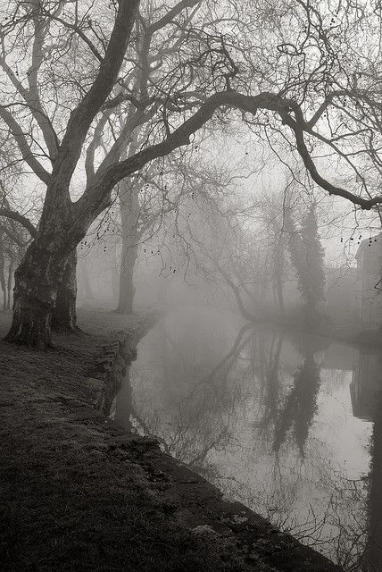 . Fog Images, Victorian Gothic Aesthetic, Foggy Day, Southern Gothic, Gothic Aesthetic, Gothic Horror, Victorian Gothic, Black And White Photography, Dark Aesthetic