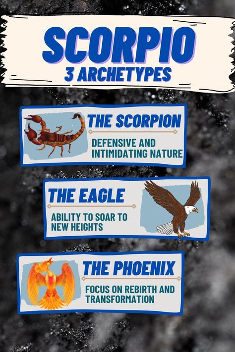 The following text provides the explanation for each archetype. The Scorpion: defensive and intimidating nature. The Eagle: ability to soar to new heights. The Phoenix: focus on rebirth and transformation. Scorpio Eagle Phoenix Tattoo, Scorpio Eagle, Psychology Astrology, Scorpions Zodiac, Sun Signs, Scorpio Zodiac Sign, Leo Traits, Zodiac Elements, Scorpio Zodiac Facts