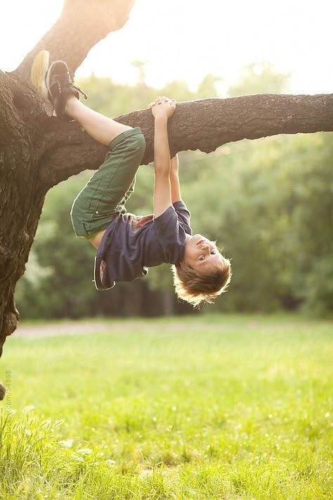 Hanging Upside Down, Tree Climbing, Happy Childhood, Country Kids, Airbrush Art, 인물 사진, Tree Branch, Simple Life, Children Photography