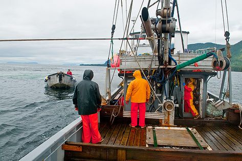 Fishing Boats For Sale, Commercial Fishing, Fishing Boots, Deadliest Catch, Boat Drawing, Leaves And Branches, Canoe Trip, Buy Fish, Start A Fire