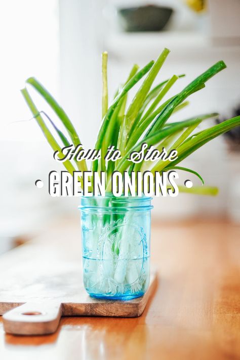 Store Green Onions, Home Garden Aesthetic, Keep Strawberries Fresh, Storing Veggies, Grow Green Onions, Tuna Poke Bowl Recipe, How To Store Carrots, Green Onions Recipes, Green Onions Growing