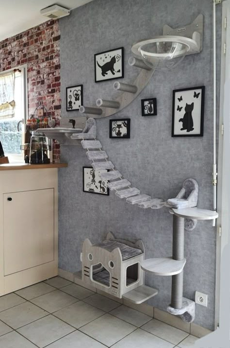 Cat House Decor Ideas, Cattery Ideas Cat Room Diy, Cat Closet Ideas Under Stairs, Cat Tree Shelves, Cat Room Wall Ideas, Pet Room Ideas Dogs And Cats, Dog And Cat Room Ideas, Cat Tree On Wall, Cat Rooms Indoor Diy