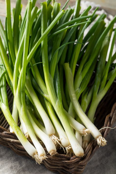 Green Onions www.brenthofacker.com Onion Aesthetic, Onion Vegetable, French Aesthetic, Fruit Picture, Creative Content, Green Onion, Spring Onion, Greens Recipe, Green Onions