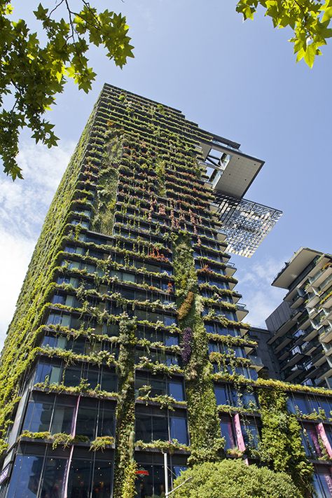 Our Fantastic Green Facade at One Central Park in Sydney 3 years on | Tensile Design & Construct One Central Park, Ecology Design, Green Facade, Jean Nouvel, Green Architecture, Green City, Building Facade, Facade Architecture, Sustainable Architecture