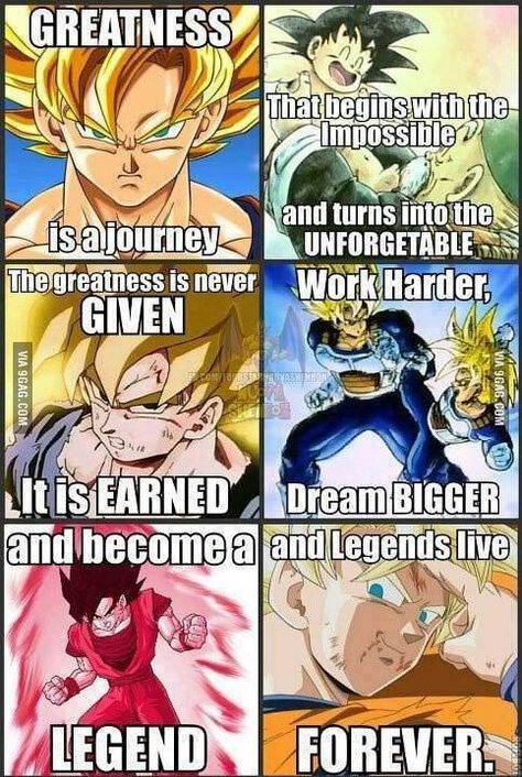 If there is anything this show has taught us.. Animated Quotes, Chuck Liddell, Db Legends, Dragonball Art, Dbz Memes, Dbz Characters, Dragonball Super, Dbz Art, Dragon Balls