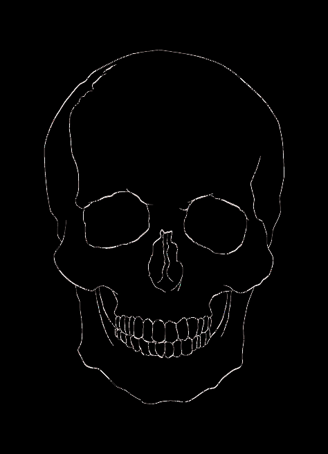 Simple Skull Outline, Skull Outline Drawing, Head Outline Drawing, Cow Skull Drawing, Drawing Meaning, Tiny Skull Tattoos, Skull And Rose Drawing, Drawing Of A Skull, Human Skull Drawing