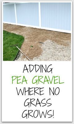 Landscape Ideas For Backyard, Pea Gravel Patio, Outside Fire Pits, Ideas For Backyard, Gravel Landscaping, Fire Pit Landscaping, Backyard Shade, Gravel Patio, Pea Gravel