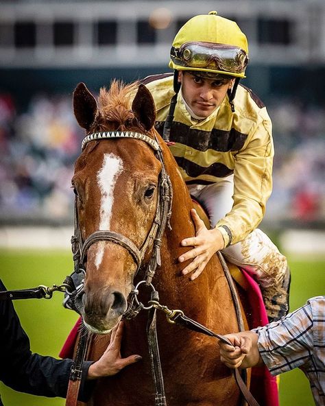 Alex Evers on Instagram: “Reports are that Country House has come down with a cough after the Derby and will not be competing in the @preaknessstakes - The race…” Derby Winners, Thoroughbred Racehorse, Thoroughbred Horse Racing, Horse Names, Sport Of Kings, Thoroughbred Horse, Thoroughbred, Kentucky Derby, Horse Racing