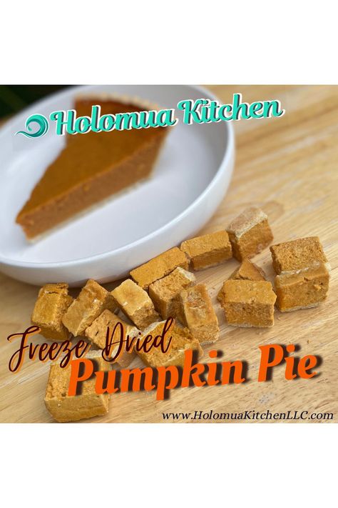 When you don't have room for an entire slice of pie or you just want to enjoy a single bite, then check out these cool new Freeze Dried Pumpkin Pie Bites. Cooked Pumpkin, Pumpkin Pie Bites, Frozen Pumpkin Pie, Pumpkin Snack, Slice Of Pie, Frozen Pumpkin, Pie Bites, Pumpkin Pies, Pumpkin Carving Templates