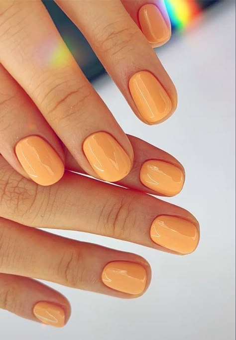 Powder Orange Nails, Short Light Orange Nails, Dip Powder Manicure Ideas Summer, Creamy Orange Nails, Vacation Nail Inspo Short, Tangerine Nail Color, Orange Nail Inspo Short, Dip Powder Nails Orange, Vacation Nails Dip