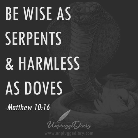 ..if you could do this..#wise #harmless #serpents #doves #matthew #quote #UnpluggeDiary Soft As A Dove Wise As A Serpent, Serpent Quotes, Revelation Bible, Matthew 10, Bible Notes, Reality Quotes, Spirituality, Bible, Reading