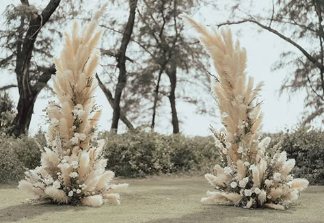 Matrimonio Pampas, White Pampas Wedding, Pampas Wedding Arch, Arbour Florals, Pampas Wedding Decor, Wedding Pampas, Pampas Wedding, White Pampas, Rustic Glam Wedding