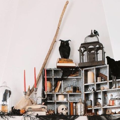 Better Homes & Gardens on Instagram: "Did someone say Hocus Pocus? This spooky mantel is right out of our Halloween decorating dreams 🖤

This apothecary aesthetic comes together with a mystifying mix of elixir bottles, potion manuals, stacked spellbooks, a bird cage, and more odds and ends.

Check out 23 more mantel ideas for autumn at our link in bio!

📸: Candice Borup" Apothecary Aesthetic, Ideas For Autumn, Mantel Ideas, Halloween Decorating, Odds And Ends, Hocus Pocus, Better Homes And Gardens, Bird Cage, Better Homes