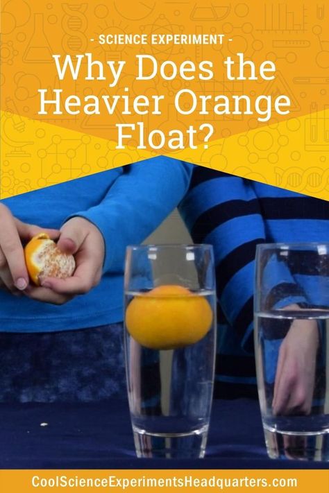 a child holding a peeled orange standing behind a two clear glasses, one with an unpeeled orange floating in water Orange Float, Easy Science Fair Projects, Density Experiment, Homeschool Science Experiments, Science Experiments Kids Elementary, Experiment Science, Water Experiments, First Grade Science, Physical Activities For Kids