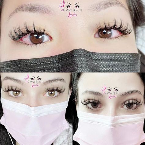 Canny Beauty Lashes|凯妮美睫美颜坊’s Instagram post: “🌻6D Sunflower set eyelash extensions ( Top Cute & Wispy style and bottom ) done ✅ by @cannybeautylashes First time New client special get…” Doll Lashes, Anime Lashes, Manga Lashes, Lash Extentions, Best Lash Extensions, Enchanted Princess, Bottom Lashes, Doll Eye Makeup, Best Lashes